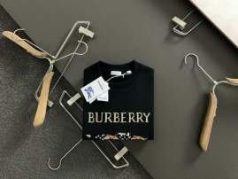 Picture of Burberry Sweatshirt _SKUBurberryS-2XLtltx0131021